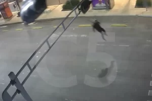 Paracaidista queda atorado en semáforo del Centro Histórico de CDMX.