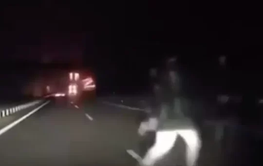 Emboscada violenta a hinchas del Rayo Vallecano en Polonia deja nueve heridos.