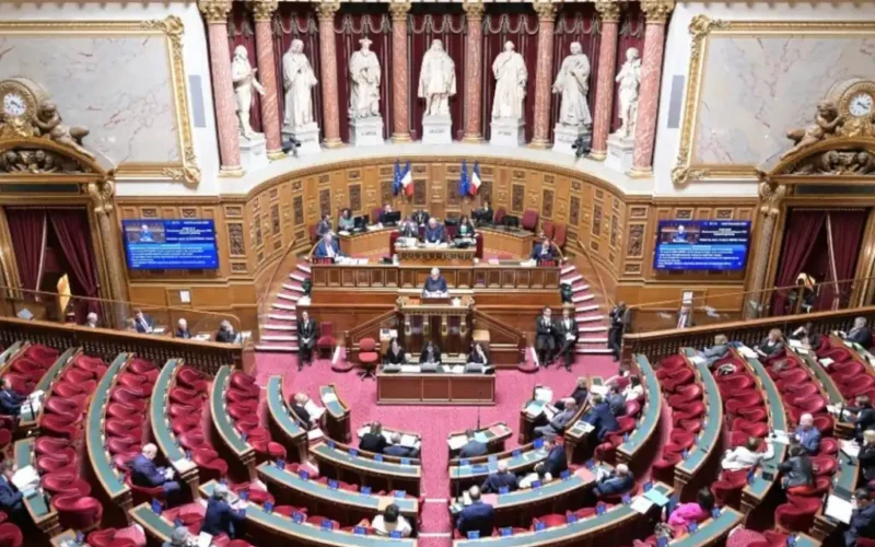 Francia da luz verde a la eutanasia y al suicidio asistido