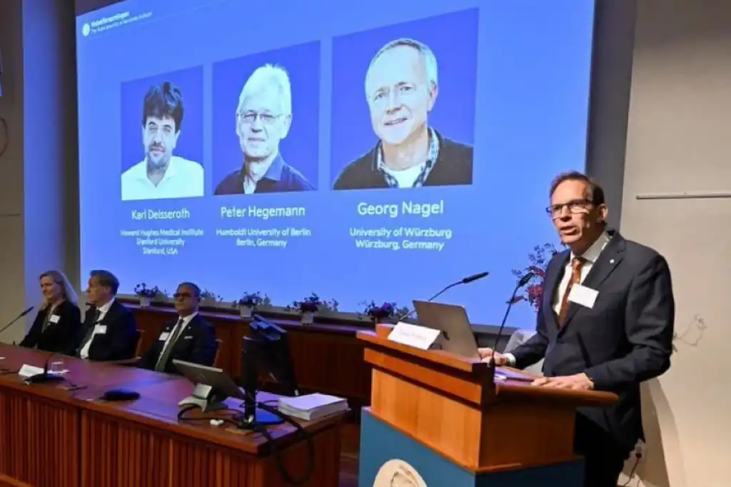 Nobel de Medicina premia el descubrimiento que permite controlar neuronas con luz